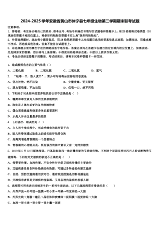 2024-2025学年安徽省黄山市休宁县七年级生物第二学期期末联考试题含解析