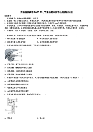 安徽省安庆市2025年七下生物期末复习检测模拟试题含解析
