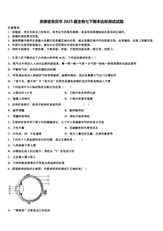 安徽省安庆市2025届生物七下期末达标测试试题含解析