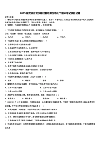 2025届安徽省安庆宿松县联考生物七下期末考试模拟试题含解析