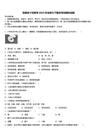 安徽省十校联考2025年生物七下期末考试模拟试题含解析