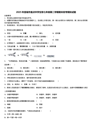 2025年宣城市重点中学生物七年级第二学期期末统考模拟试题含解析