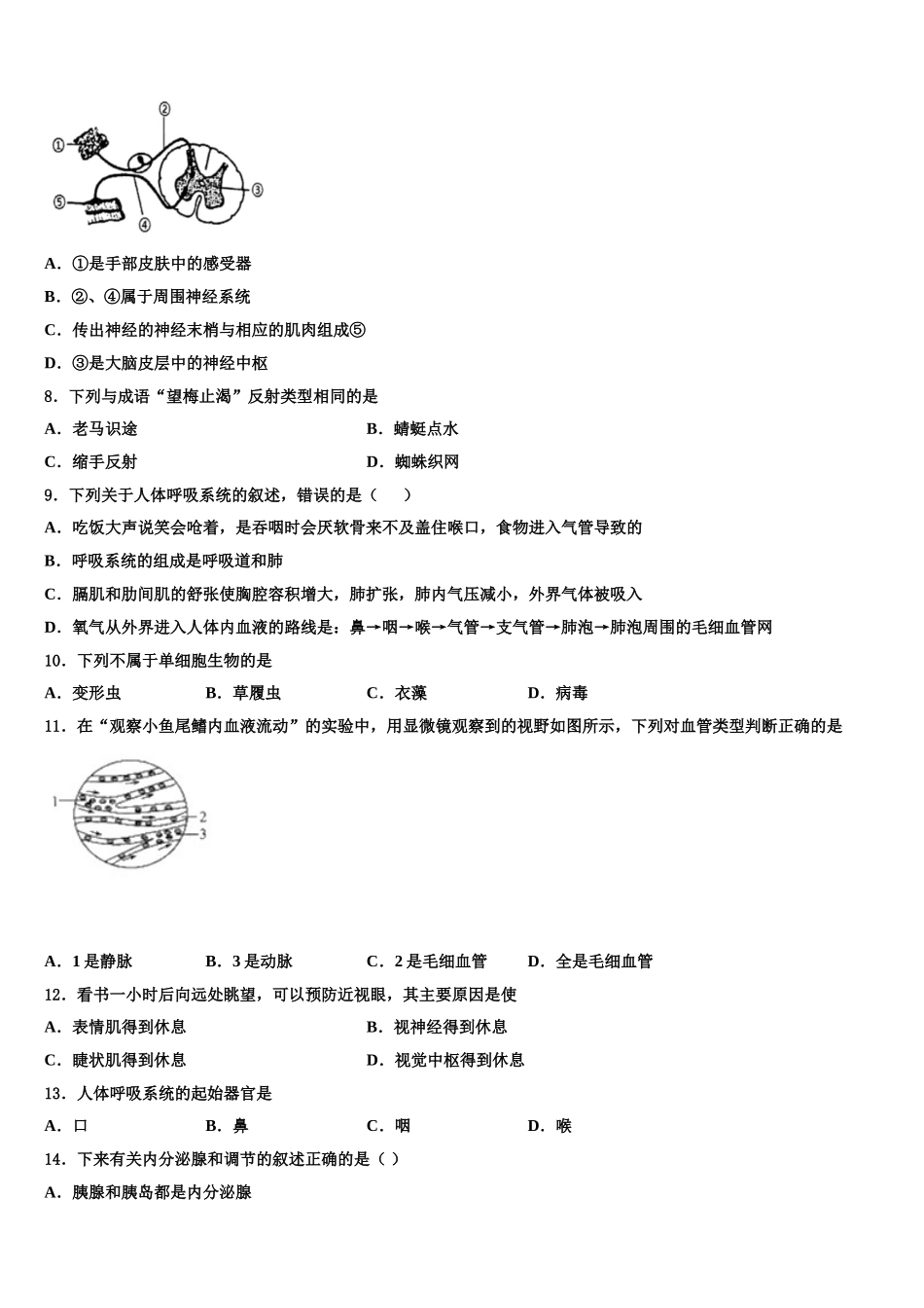 2025届安徽省亳州市蒙城中学生物七年级第二学期期末考试模拟试题含解析_第2页
