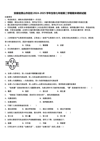 安徽省黄山市名校2024-2025学年生物七年级第二学期期末调研试题含解析