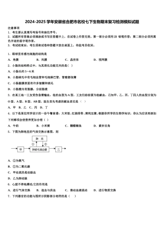 2024-2025学年安徽省合肥市名校七下生物期末复习检测模拟试题含解析