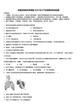 安徽省阜阳市阜南县2025年七下生物期末检测试题含解析