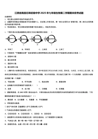 江西省南昌石埠初级中学2025年七年级生物第二学期期末统考试题含解析