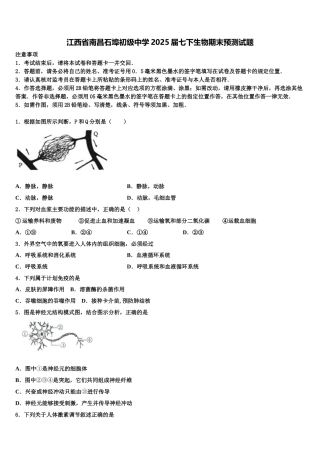 江西省南昌石埠初级中学2025届七下生物期末预测试题含解析