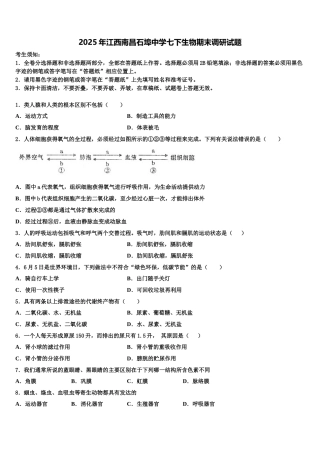 2025年江西南昌石埠中学七下生物期末调研试题含解析