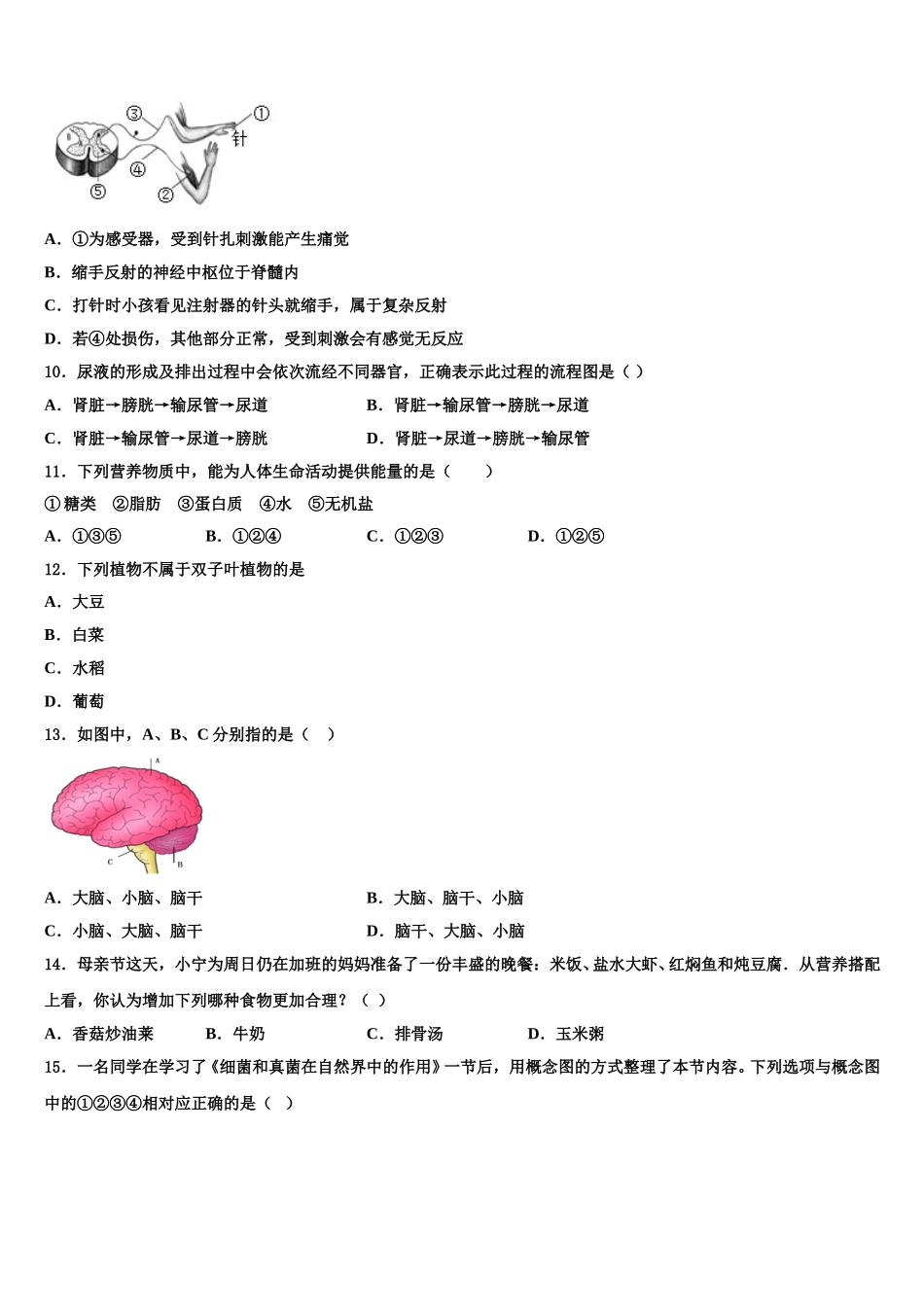 2025届江西省大余县七年级生物第二学期期末复习检测模拟试题含解析_第3页