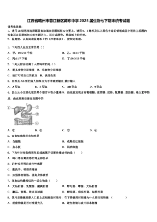 江西省赣州市蓉江新区潭东中学2025届生物七下期末统考试题含解析