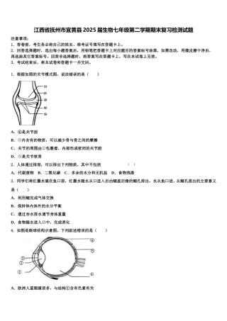 江西省抚州市宜黄县2025届生物七年级第二学期期末复习检测试题含解析