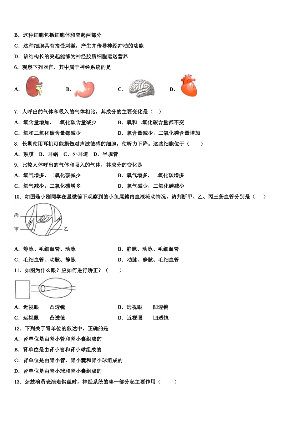 辽宁省盘锦市第一中学2025年七年级生物第二学期期末调研试题含解析_第2页