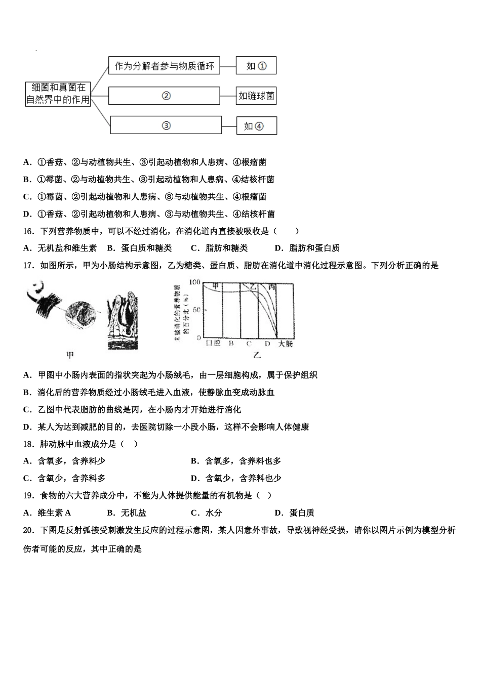 2025年辽宁省沈阳市第一二七中学生物七下期末教学质量检测试题含解析_第3页