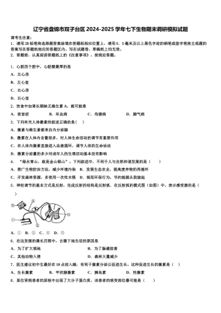 辽宁省盘锦市双子台区2024-2025学年七下生物期末调研模拟试题含解析