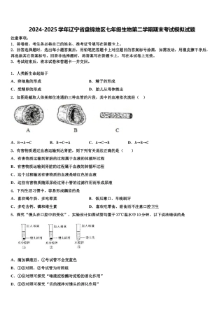 2024-2025学年辽宁省盘锦地区七年级生物第二学期期末考试模拟试题含解析