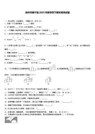 徐州市睢宁县2025年数学四下期末预测试题含解析