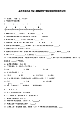 吴忠市盐池县2025届数学四下期末质量跟踪监视试题含解析