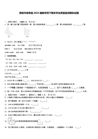 贵阳市息烽县2025届数学四下期末学业质量监测模拟试题含解析