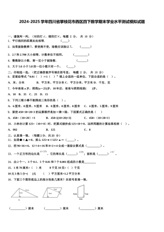 2024-2025学年四川省攀枝花市西区四下数学期末学业水平测试模拟试题含解析