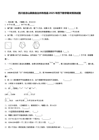 四川省凉山彝族自治州布拖县2025年四下数学期末预测试题含解析