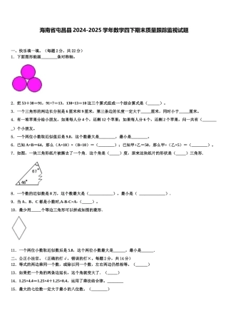 海南省屯昌县2024-2025学年数学四下期末质量跟踪监视试题含解析