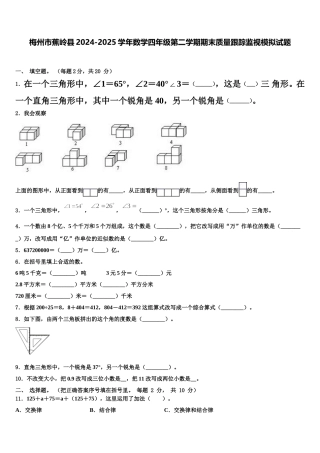 梅州市蕉岭县2024-2025学年数学四年级第二学期期末质量跟踪监视模拟试题含解析