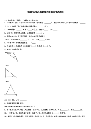 揭阳市2025年数学四下期末考试试题含解析