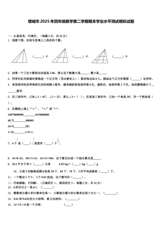 增城市2025年四年级数学第二学期期末学业水平测试模拟试题含解析