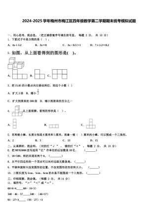 2024-2025学年梅州市梅江区四年级数学第二学期期末统考模拟试题含解析