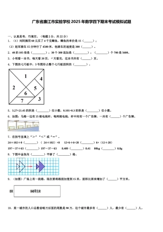 广东省廉江市实验学校2025年数学四下期末考试模拟试题含解析