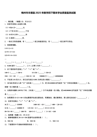 梅州市丰顺县2025年数学四下期末学业质量监测试题含解析