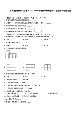 广东省梅州市兴宁市2024-2025学年四年级数学第二学期期末考试试题含解析