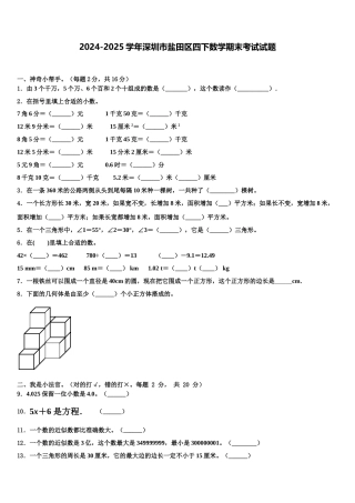 2024-2025学年深圳市盐田区四下数学期末考试试题含解析