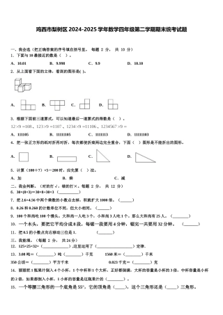 鸡西市梨树区2024-2025学年数学四年级第二学期期末统考试题含解析