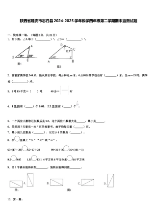 陕西省延安市志丹县2024-2025学年数学四年级第二学期期末监测试题含解析