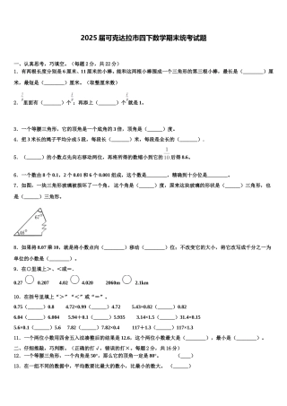 2025届可克达拉市四下数学期末统考试题含解析