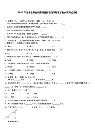 2025年河北省邢台市南和县数学四下期末学业水平测试试题含解析