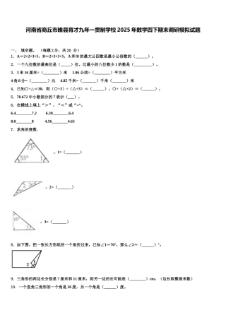河南省商丘市睢县育才九年一贯制学校2025年数学四下期末调研模拟试题含解析