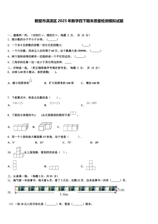 鹤壁市淇滨区2025年数学四下期末质量检测模拟试题含解析