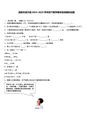 洛阳市洛宁县2024-2025学年四下数学期末检测模拟试题含解析