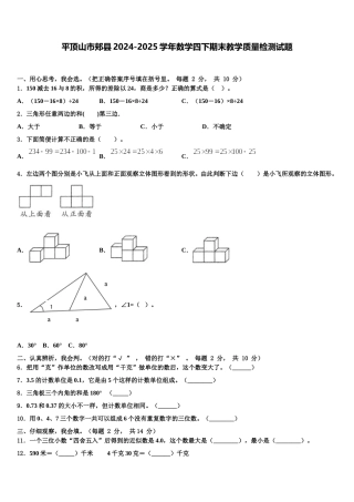 平顶山市郏县2024-2025学年数学四下期末教学质量检测试题含解析