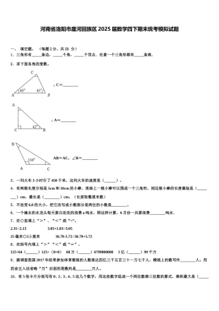 河南省洛阳市廛河回族区2025届数学四下期末统考模拟试题含解析