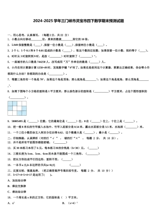 2024-2025学年三门峡市灵宝市四下数学期末预测试题含解析