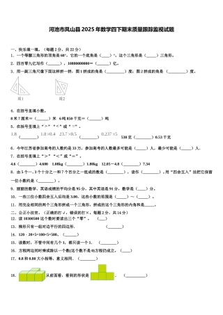河池市凤山县2025年数学四下期末质量跟踪监视试题含解析