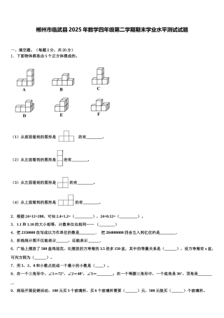 郴州市临武县2025年数学四年级第二学期期末学业水平测试试题含解析