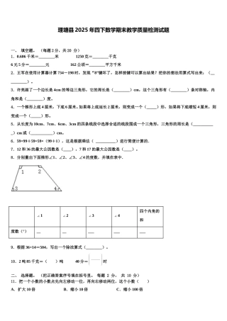 理塘县2025年四下数学期末教学质量检测试题含解析