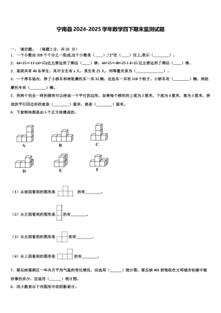 宁南县2024-2025学年数学四下期末监测试题含解析