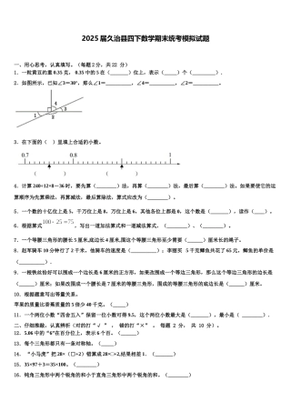 2025届久治县四下数学期末统考模拟试题含解析