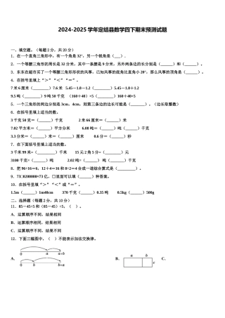 2024-2025学年定结县数学四下期末预测试题含解析
